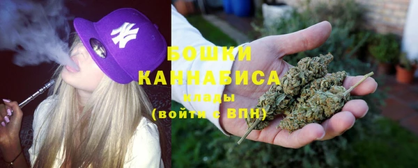 ГАЛЛЮЦИНОГЕННЫЕ ГРИБЫ Баксан