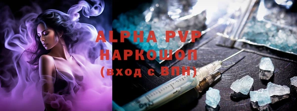 ГАЛЛЮЦИНОГЕННЫЕ ГРИБЫ Баксан