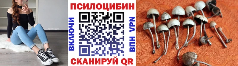Галлюциногенные грибы Cubensis  как найти закладки  Верхнеуральск 